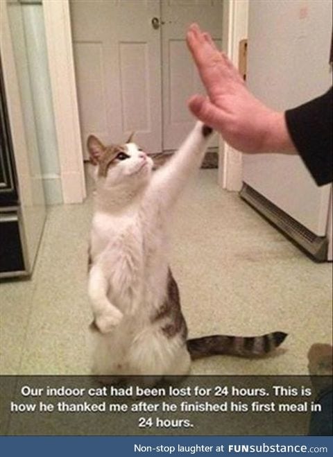 High Five