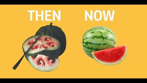 What fruits and vegetables looked like before we domesticated them