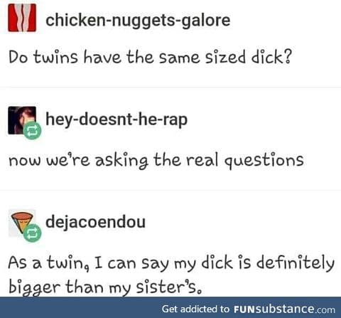 Twin d*cks