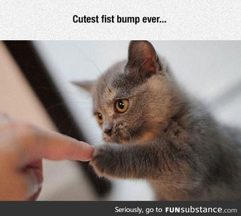 Fist bump