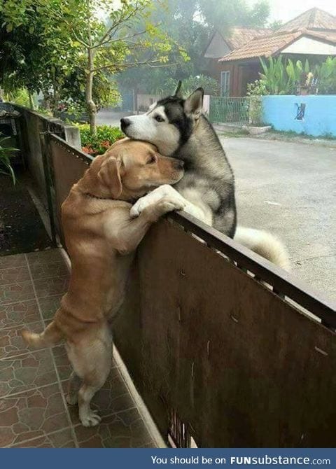 True love knows no fences