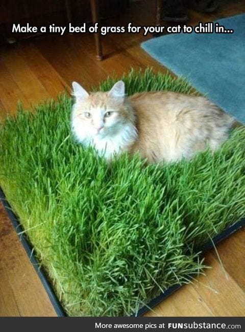 Bed of grass