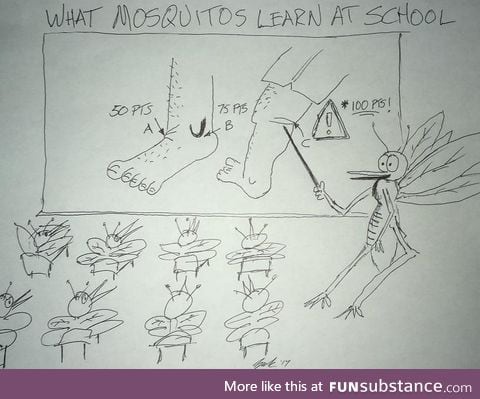 What mosquitos learn at school