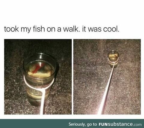 Who said you can't take a fish for a walk