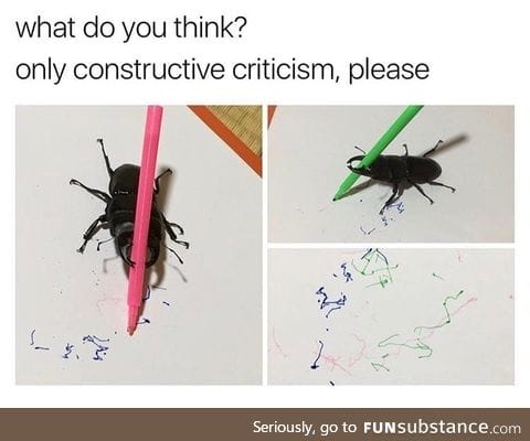 Artistic beetle