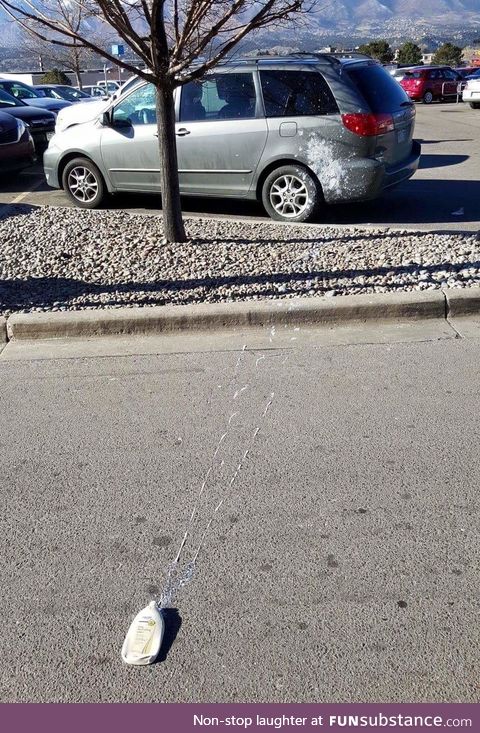 This is the outcome when someone runs over a lotion bottle