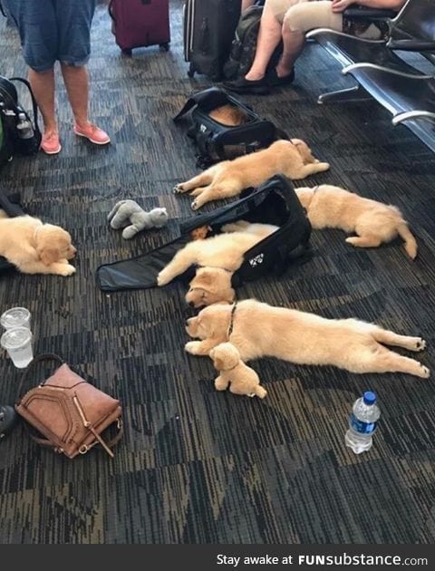 The best thing to happen in an airport, ever