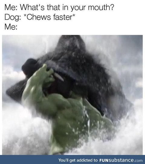 Marvel understand dog owners