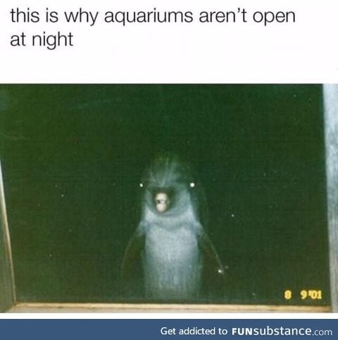 Aquariums are scary at night