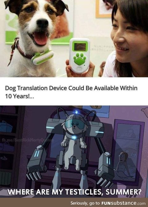 Soon you can understand your dog