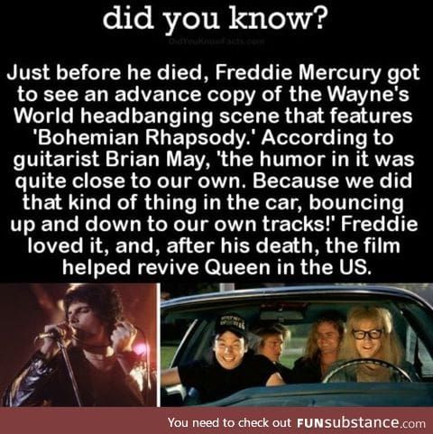 Rock on Freddie!