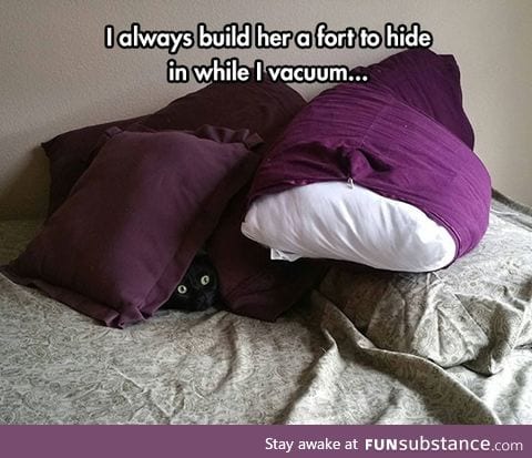 Cat fort