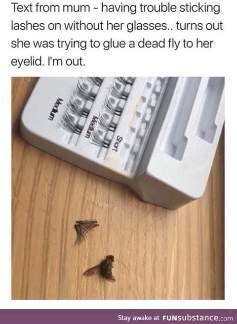 Using dead flies for eyelashes