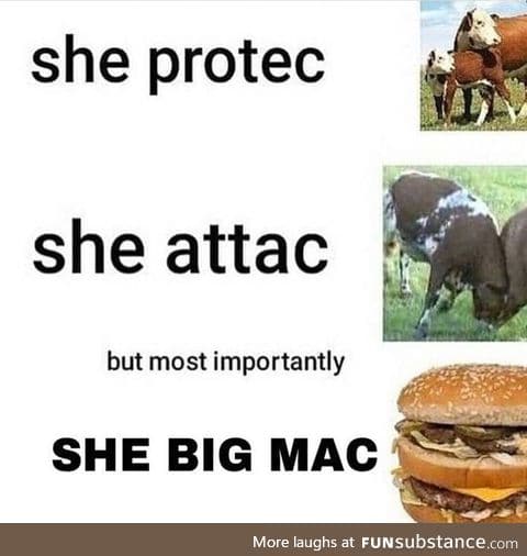 She protec