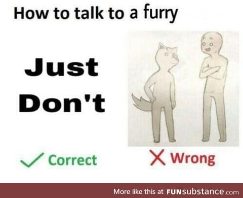 Proper Furry Communication Standards
