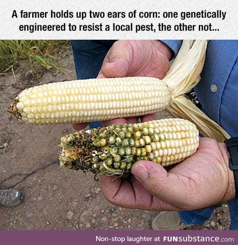 The power of GMO