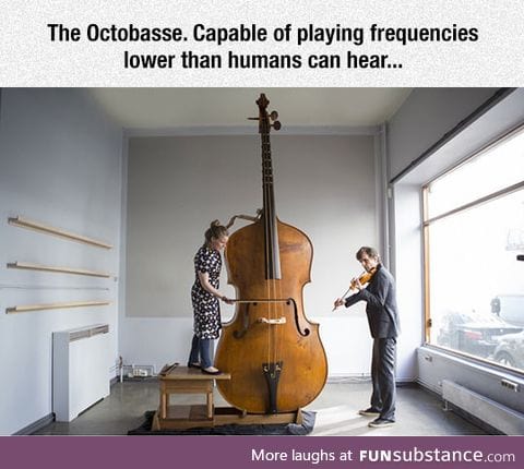 That is one big instrument