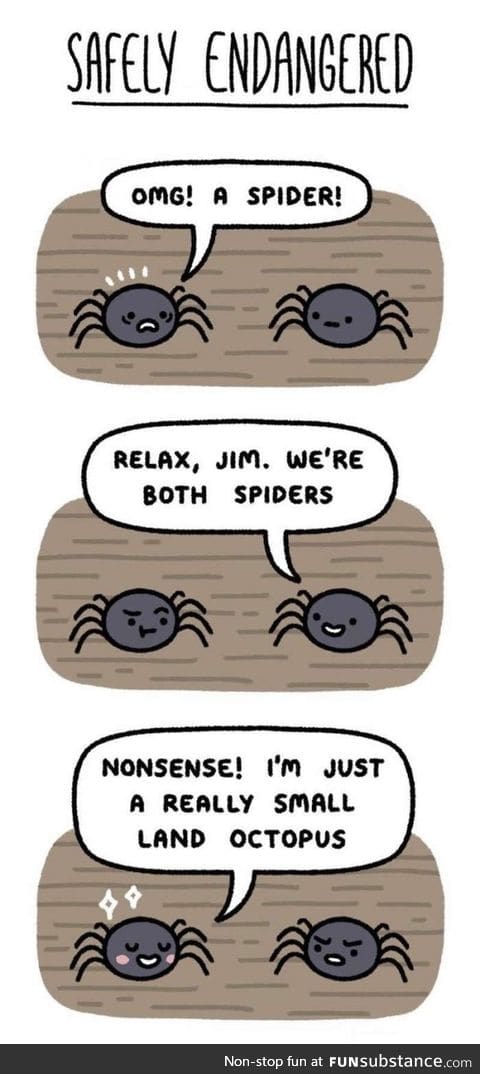 Spiders are now known as land octopus