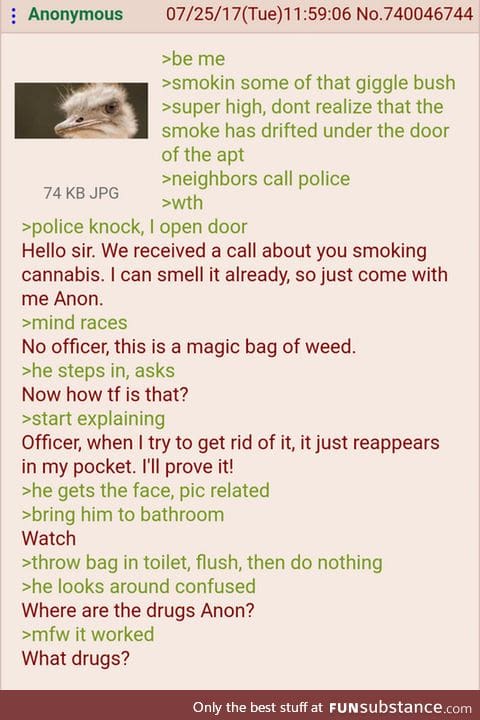 Anon bamboozles a cop