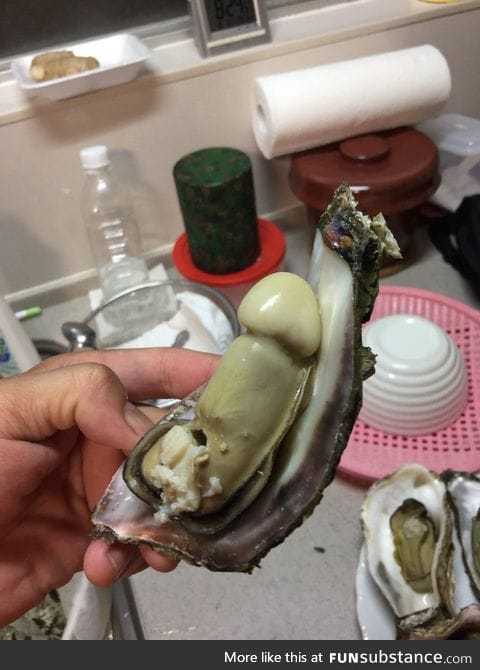 Daddy, I don't want to eat my oyster