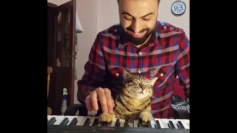 Man plays piano with his cat