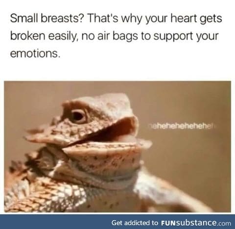 Small breasts leads to more heart break