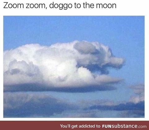 Dog cloud