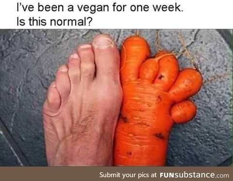 After being vegan for a week