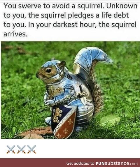 Life saving squirrel