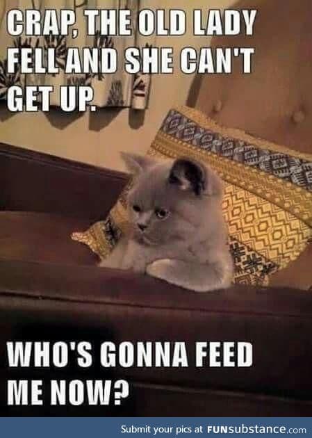Who's gunna feed me now?