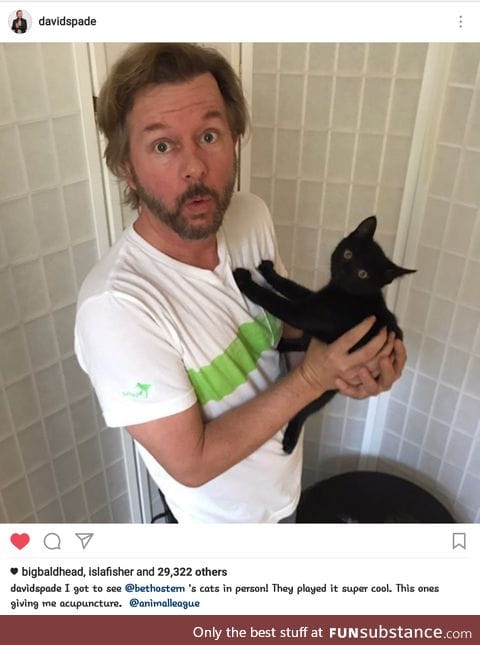 David Spade gets acupunctured.