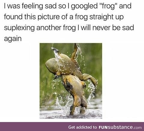 Frog wrestling