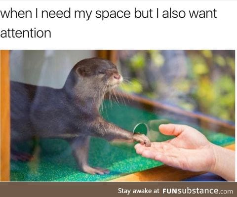 Otterly Accurate