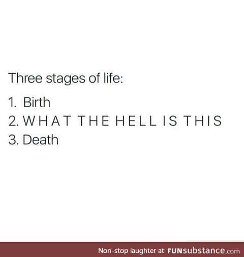 3 stages of life