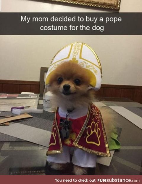 Cute  pope