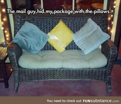 Package in disguise