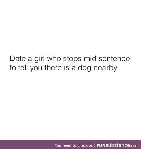 Or date a dog