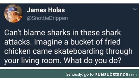 Sharks are innocent