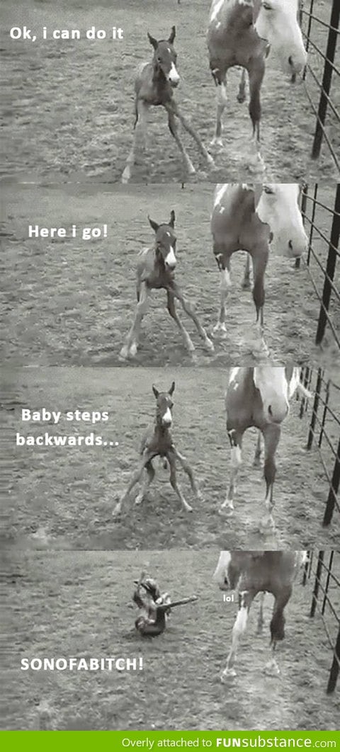 Baby steps backwards