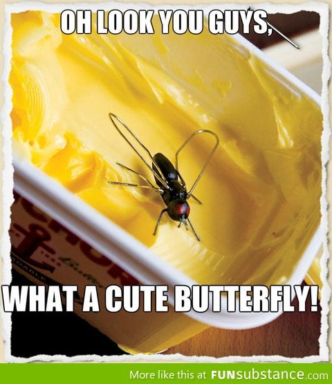 B*tterflies Are Just Adorable