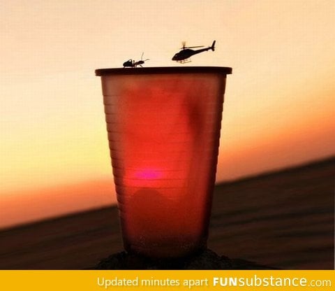 Helicopter vs Ant