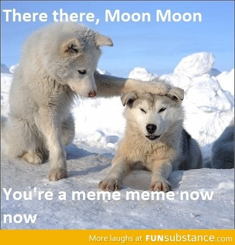 Moon Moon is a Meme Meme
