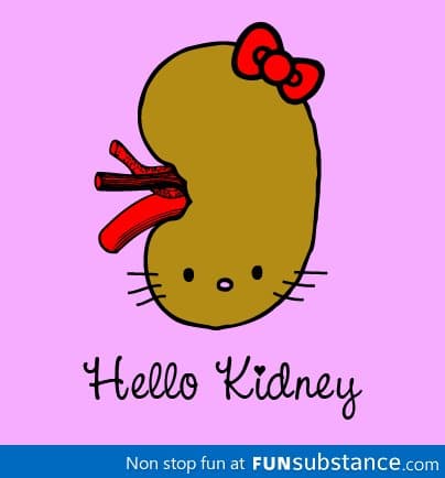 Hello Kidney