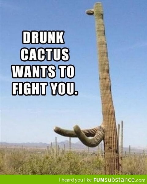 Go home cactus, you're drunk