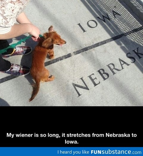My wiener is so long