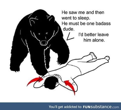 What bears really think