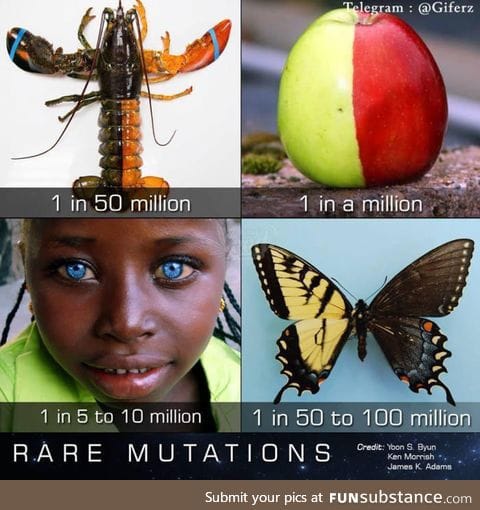 Some rare mutation in the world