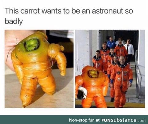 Astronaut carrot