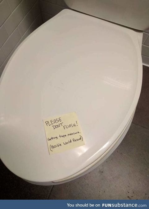 Please don't flush