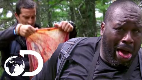 Bear Grylls and Shaquille O'Neal find a placenta in the wild